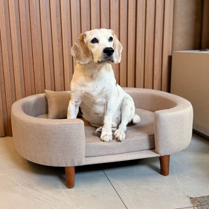 POLTRONA SOFÁ PET LUXO DIVERSAS CORES (Opção impermeavel)  Com Almofada, ESPAÇOSA DOIS TAMANHOS-Ideal para cães e gatos.