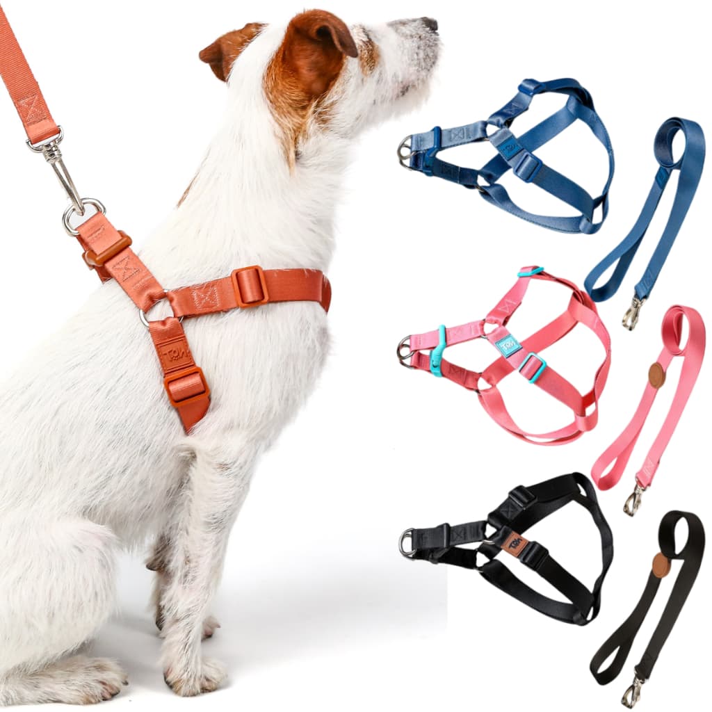 Conjunto Kit Peitoral Step In com Guia Encaixe Rápido Cachorros Toh Dog