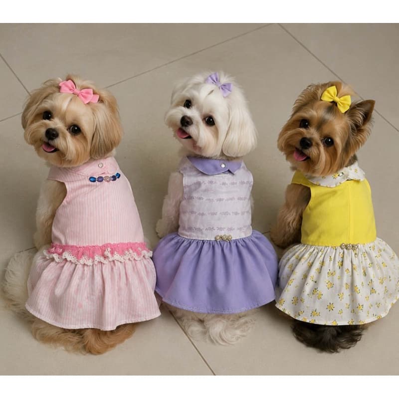 Roupinha Pet Roupa Para Cachorra Vestido Tecido Verão Passeio