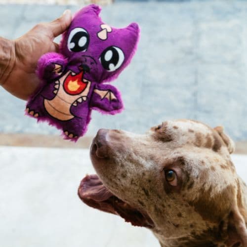 Brinquedo de Pelúcia Dragoberto para Cachorro | Brinquedo macio e com apito - Petiko