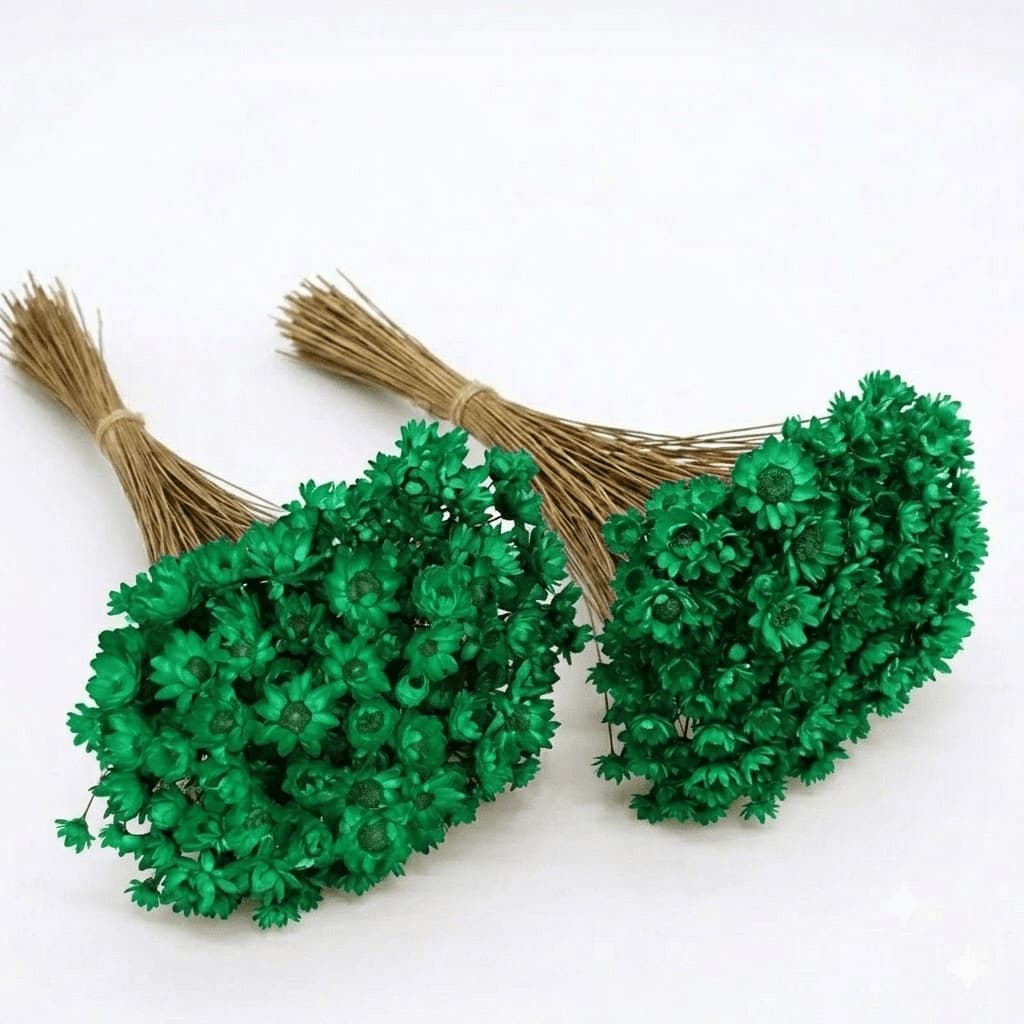 Flor Sempre Viva 200/400/800 Flores Seca e Desidratada Cor Verde Escuro | Decoração, Arranjo e Buquê