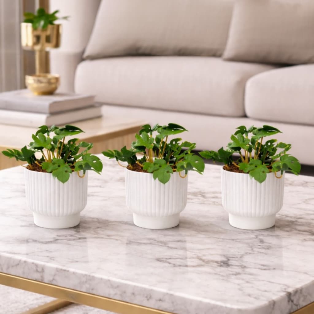 Kit 3 Vasos Com Planta Artificial Mini Costela De Adão com Vaso Sala Escritório