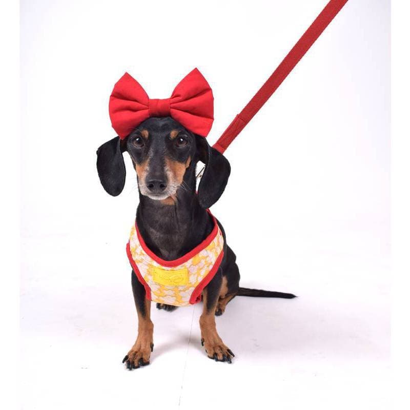Peitoral para Cachorro Pop Corn Emporium Distripet | Peitoral Pet para Passeio, Caminhada e Controle do Cão