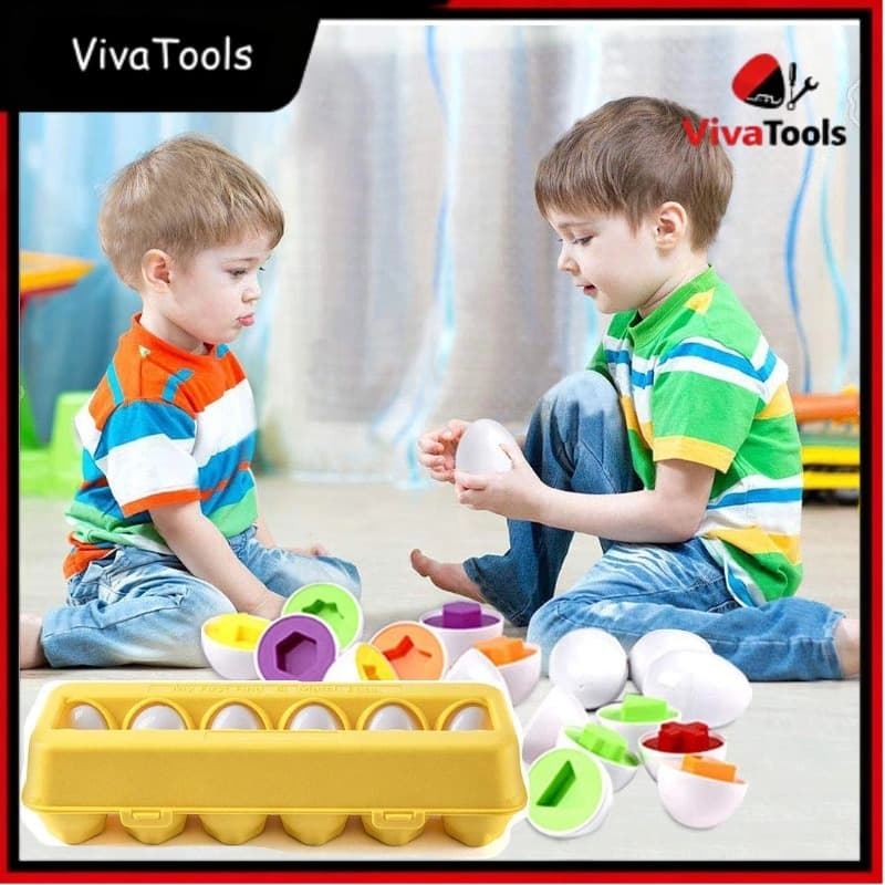 Brinquedo Educativo Jogo Encaixe Cartela 12 Ovos Coloridos