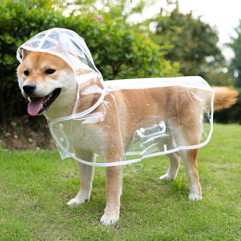 Capa de Chuva Pet Impermeável Proteção Cachorro Grande Médio Pequeno Porte Passeio Chuva