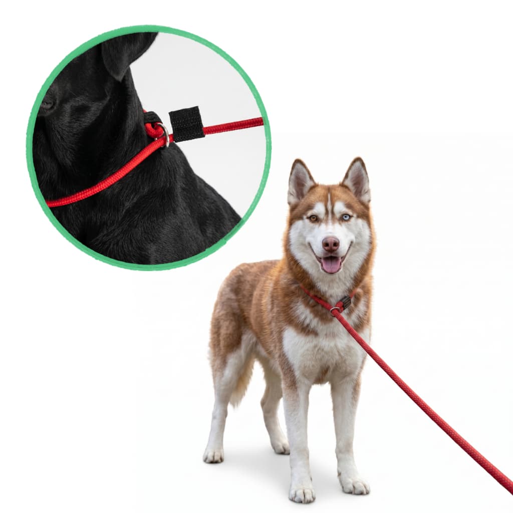 Guia Unificada Cachorro Coleira Enforcador Corda Nylon 6mm Adestramento Passeio Pet Trava Anti Fuga
