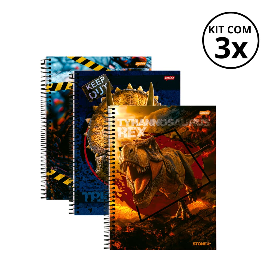 Kit Com 03 Cadernos 01 Matéria Universitário 80 Folhas Stone - Jandaia