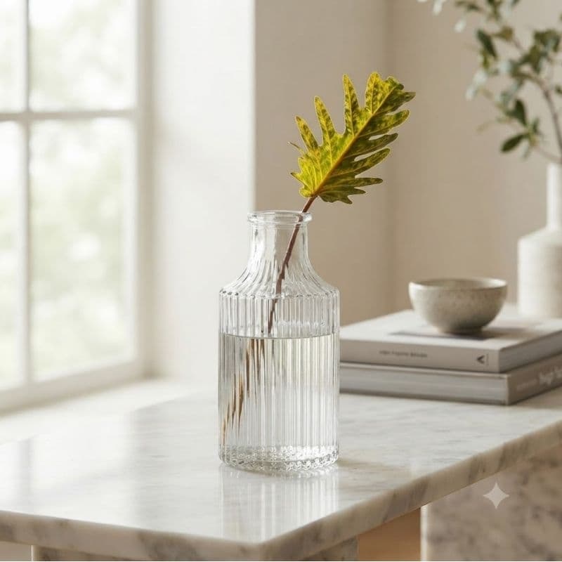 Vaso decorativo de vidro  / jarro para plantas
