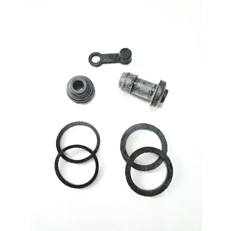 Reparo Pinça Freio CBX250 Twister Dianteira