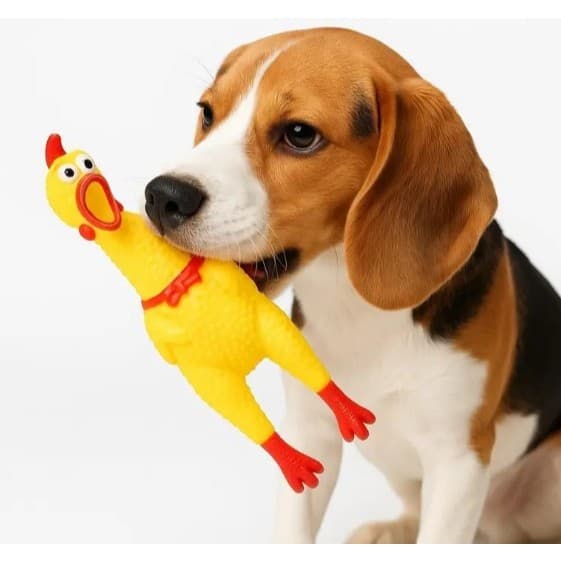 Brinquedo Galinha cm para Cães pequeno pet  apito frango amarelo - 15/40cm