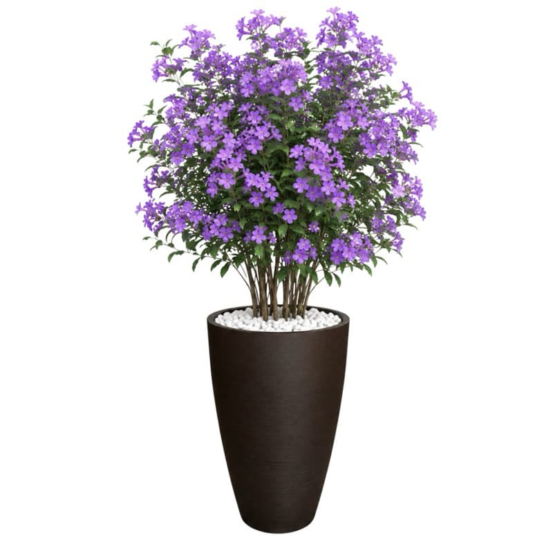 Vaso Planta 65x40 Oval Moderno Plantar Primavera Buchinho Decorar Casa Leve e Resistente