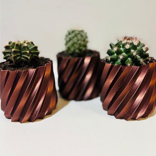 Trio de Vasos Decorativos 3D Espiral – Mini Suculentas e Cactos