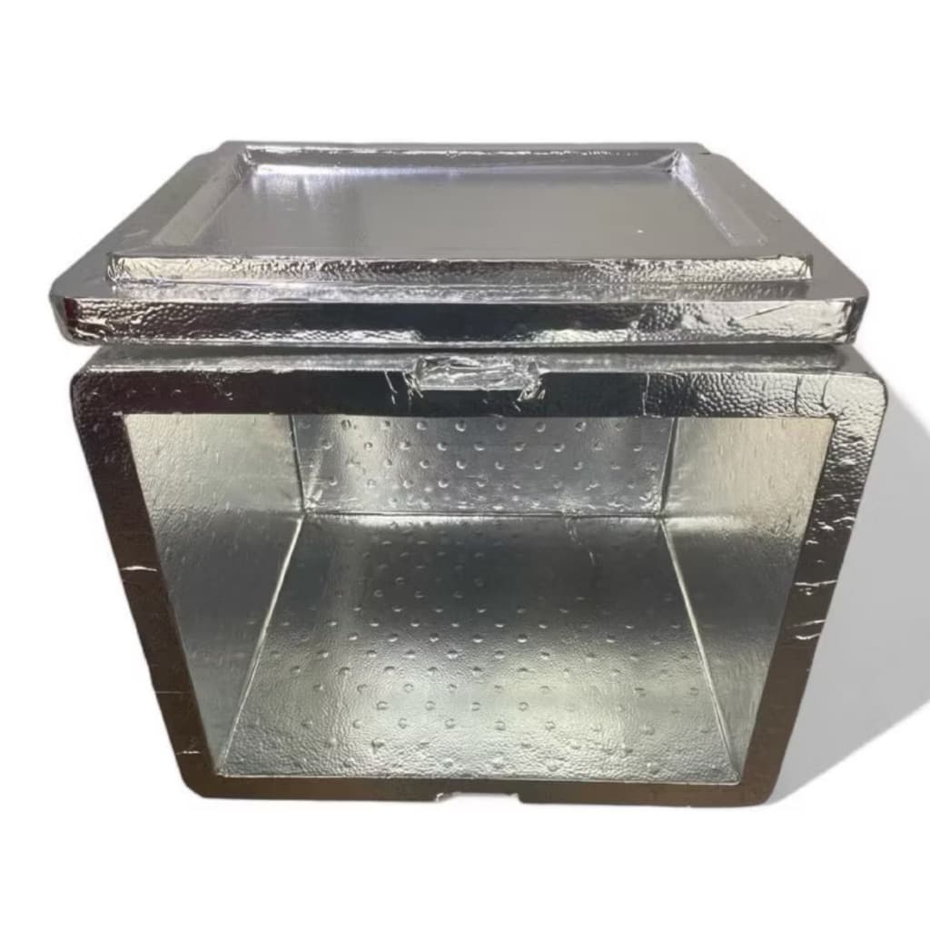 Caixa de isopor 45L bag delivery laminado