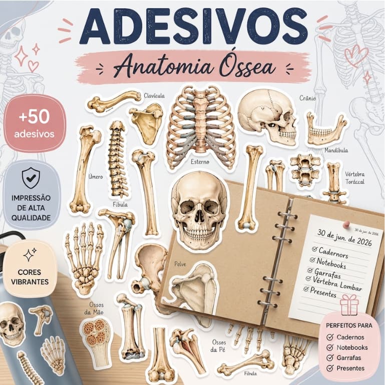 Kit Adesivos stickers Anatomia Humana Óssea p/planner scrapbook journal caderno agenda medicina saúde enfermagem