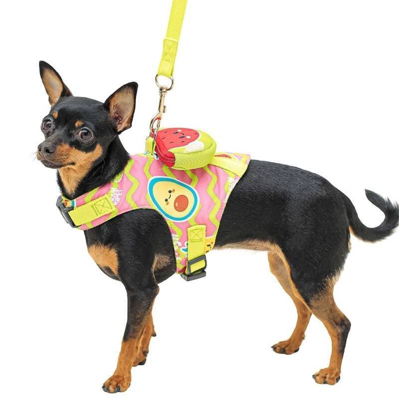 Peitoral para Cachorro Fruits Emporium Distripet | Peitoral Pet para Passeio, Caminhada e Controle do Cão