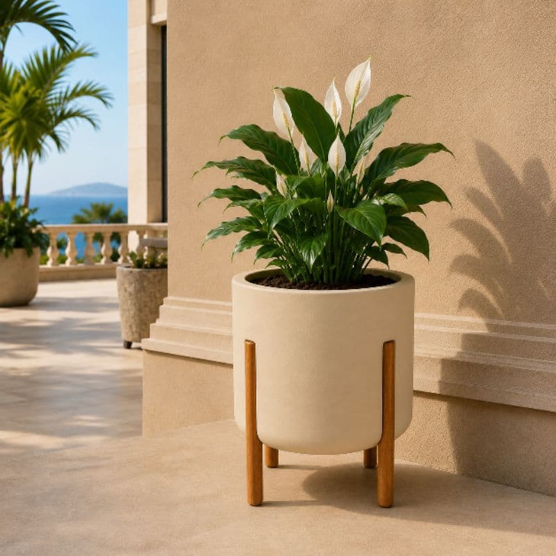 vaso nórdico G vaso de polietileno vaso para plantas vaso com pés de madeira