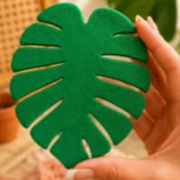 🌿Kit Descanso de Copo Monstera | Elegância Tropical para sua Mesa