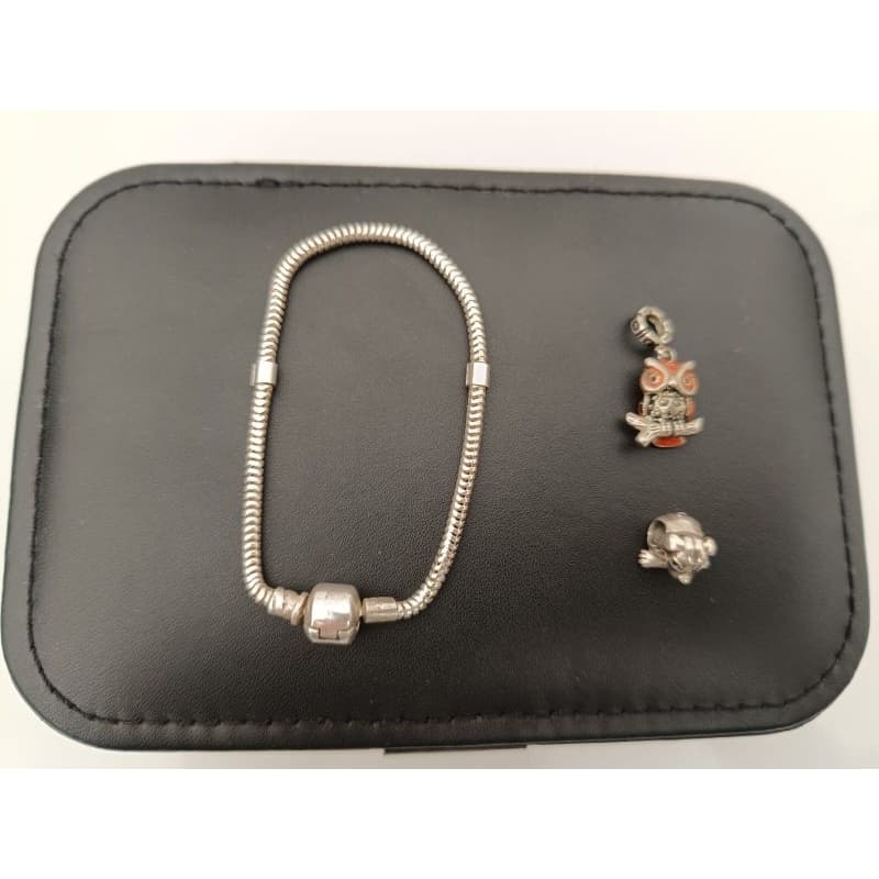 Pulseira em Prata Esterlina 925 com 2 Berloques em Prata – Coruja e Cachorro