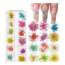 Flores 12 Secas Encapsulamento Decoração Unhas De Gel. Com unhas em 3D com efeito relievo e brilho