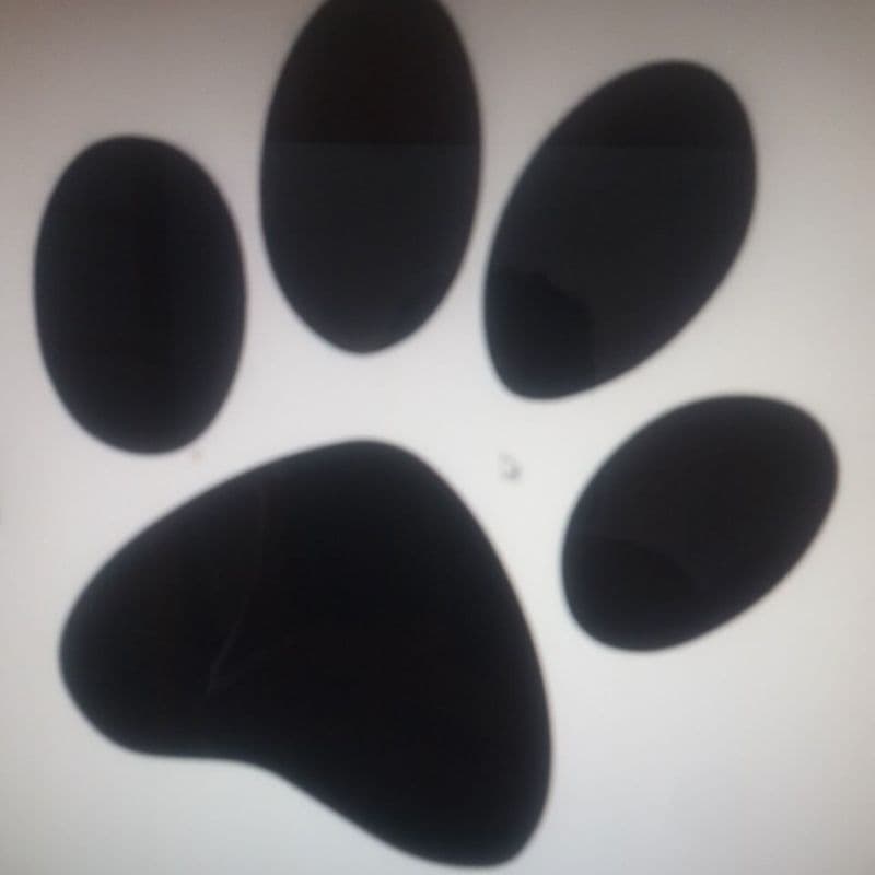 adesivo de patas de pet