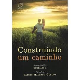 Livro Usado Romance Espirita Construindo um caminho - Eliana Machado Coelho