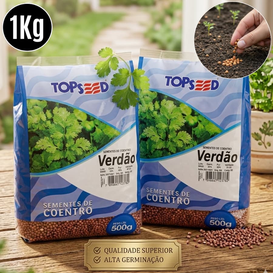 Pct 1Kg Sementes Coentro Verdão Aroma forte verdíssimo p/ plantio e hortas - Topseed