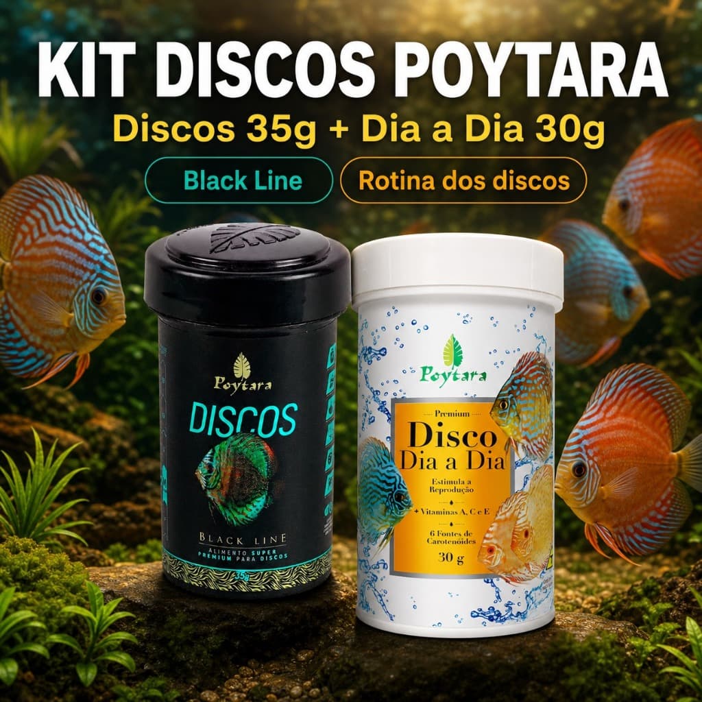 Kit Poytara Discos Black Line 35g + Disco Dia a Dia 30g