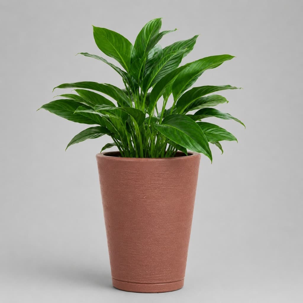 Vaso De Plantas Decorativo Luxo Coluna Redonda Prato De Polietileno