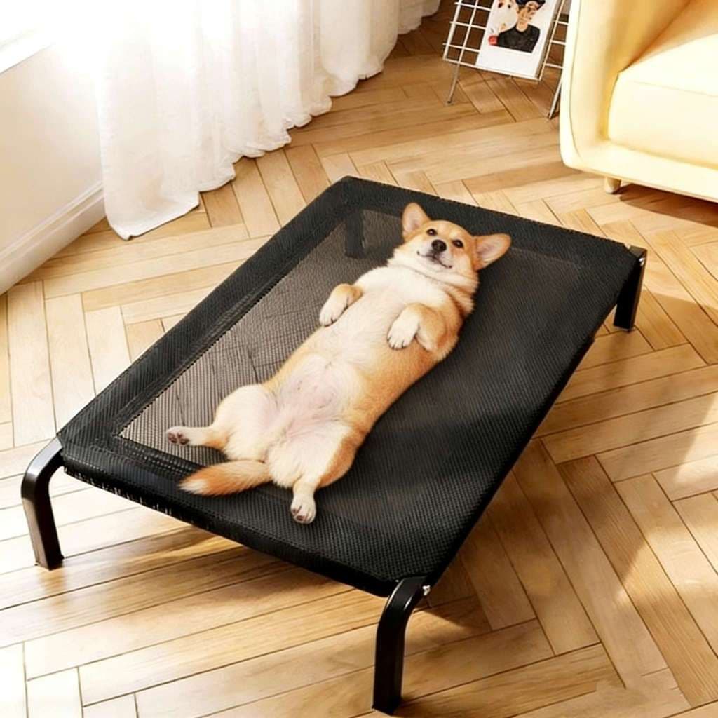 Cama Para Cachorro Suspensa Em Aluminio Elevada Pet Cachorro Super Resistente 90x60cm/102x69cm