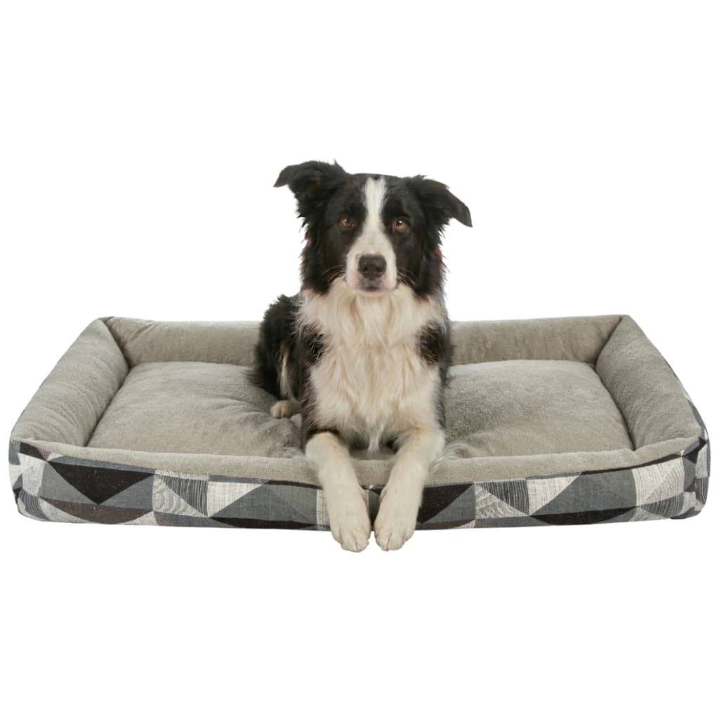Cama Dog Chocante XG + Osso Lavável e Impermeável Extra Grande Prática para o Dia a Dia