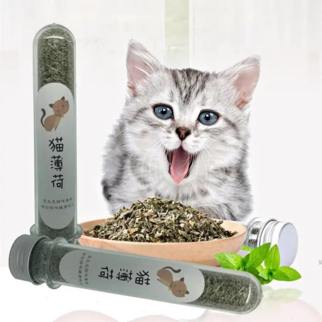 Erva Do Gato Catnip Natural Aromática Relaxante Atrativa Interativa Acalma E Estimula Brincadeiras