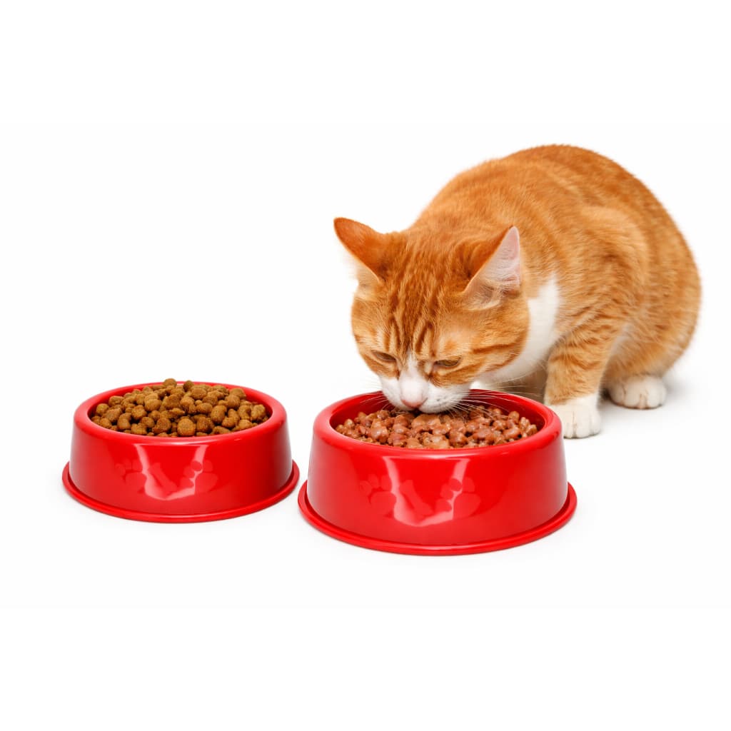 Kit 2 Un Comedouro e Bebedouro N4 1500ml para Cães e Gatos | Tigela Resistente Grande