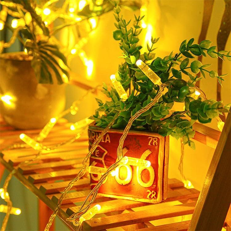 Pisca Pisca- luzes led com 8Metros 100Leds - Luzes de Natal: Cores Diversas- ornamentação natalina