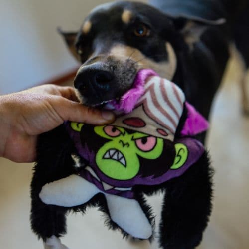Brinquedo de Pelúcia Macaco Louco | Coleção Meninas Super Poderosas para Cachorro, Pelúcia Macia com Apito - Petiko