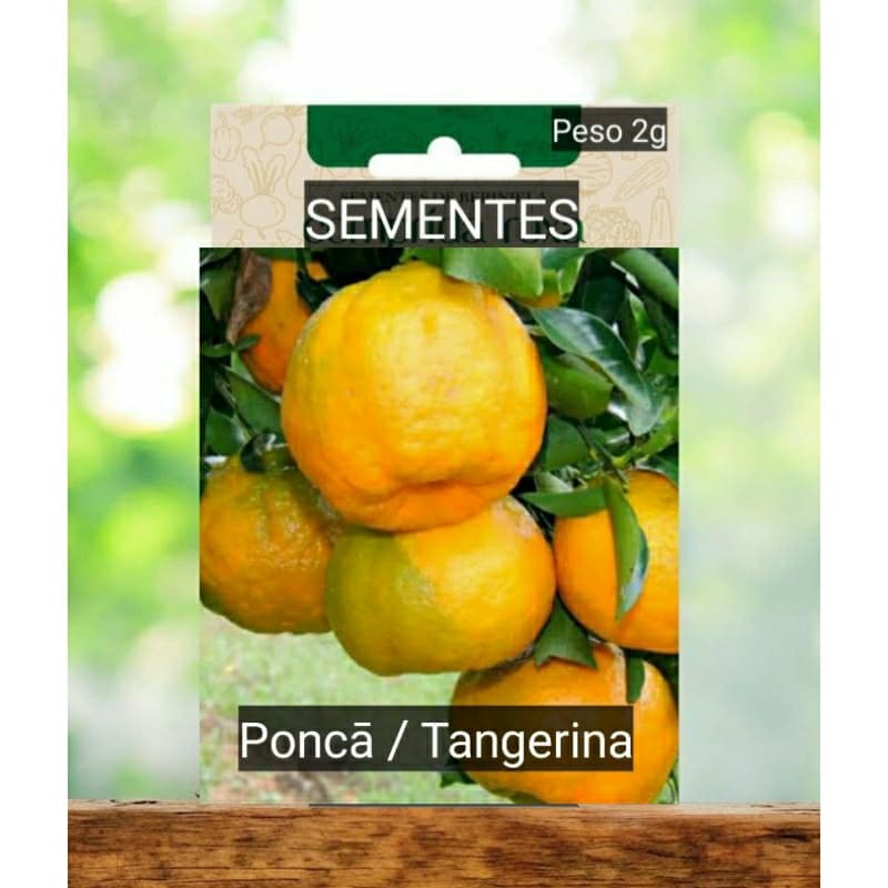 Kit Sementes POKAN / TANGERINA  plante vaso horta terra adubo OFERTA