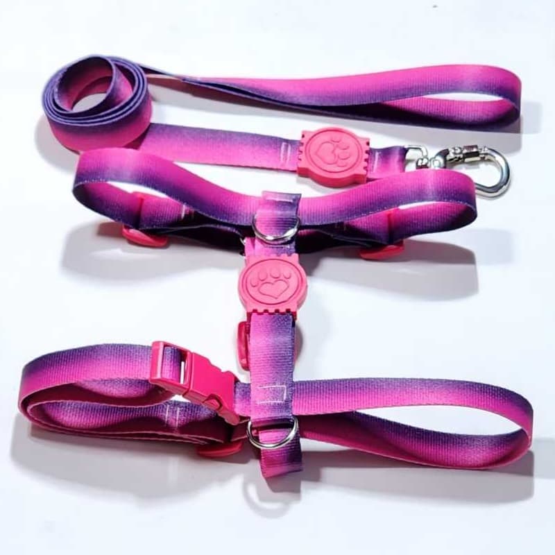 Peitoral H Anti-puxão rosa com roxo para cachorro