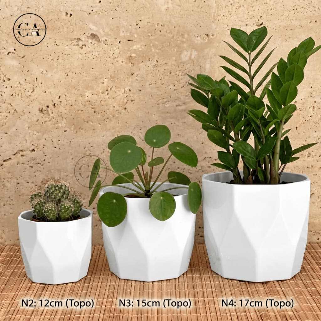 Kit 3 Vasinhos Decorativos Para Suculentas Planta Lembrancinhas