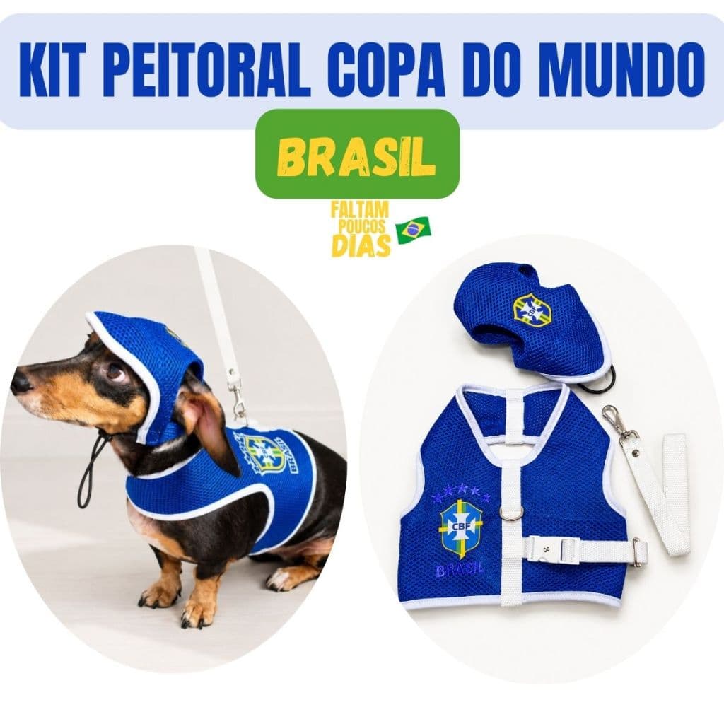 Kit Copa Brasil Coleira Peitoral e boné para cachorros Kit Azul para cachorros e gatos