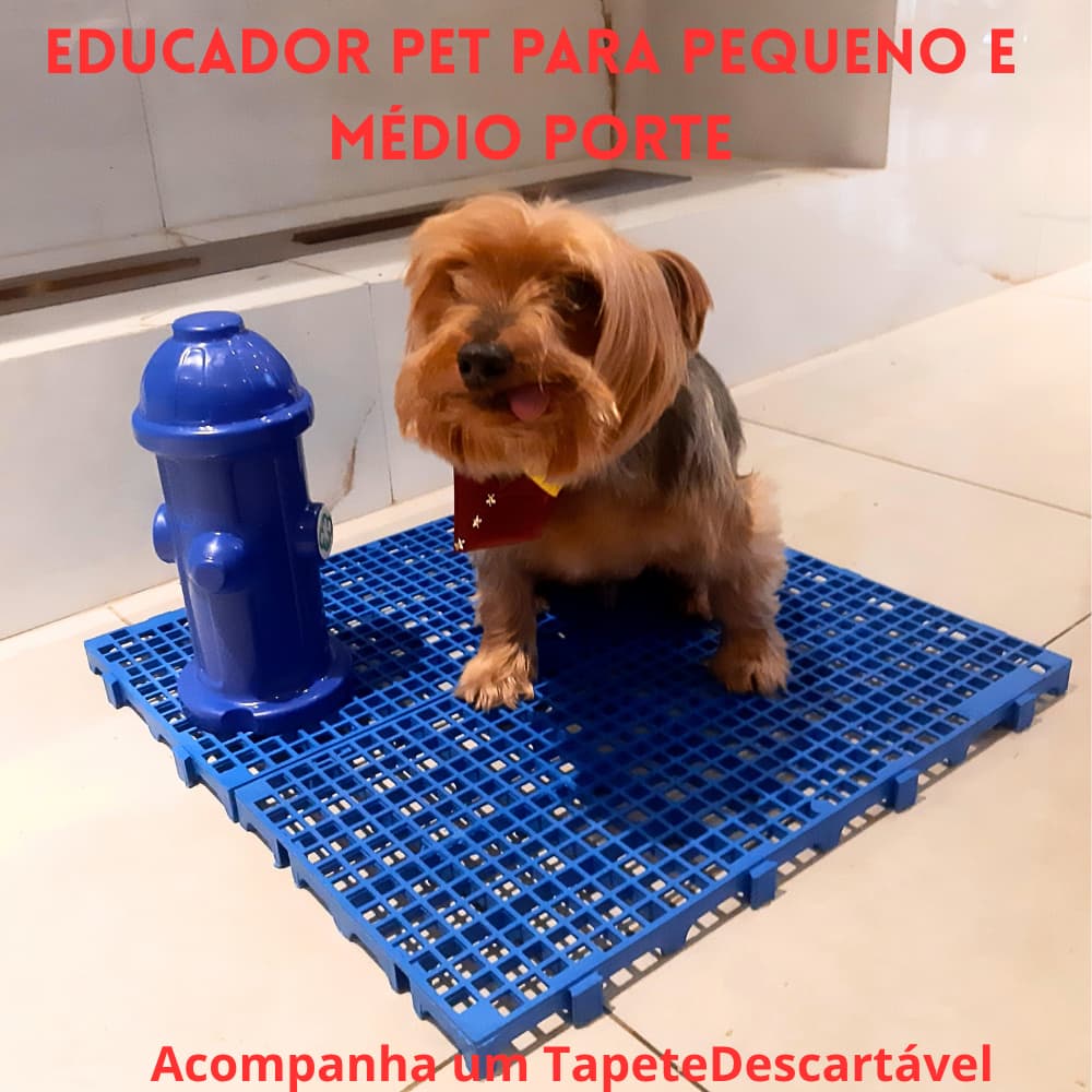 Tapete Higiênico Grade Deck + Postinho Hidrante Xixi Educador + Tapete Descartável Pumpets