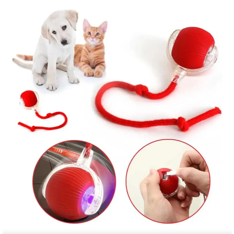 KIT 6 Bola Interativa Para Pet Brinquedo Inteligente Automático Recarregável Cães Gatos