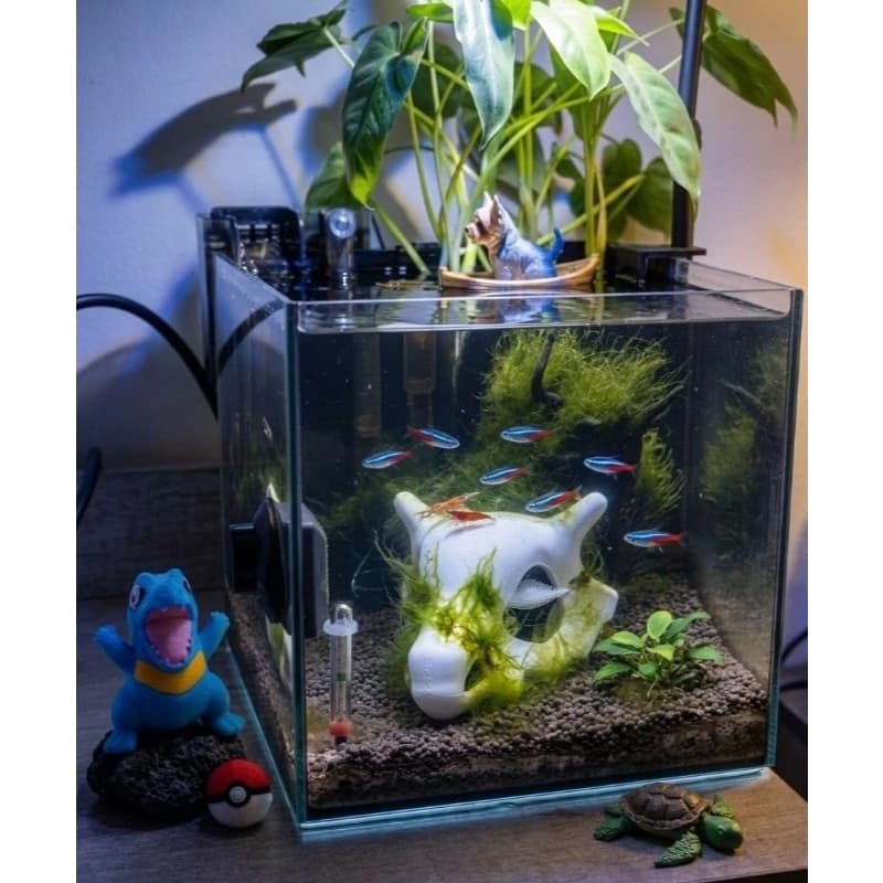 Toca Cubone Crânio para Aquário e Terrário Esconderijo Caveira Betta Decoração Enfeite