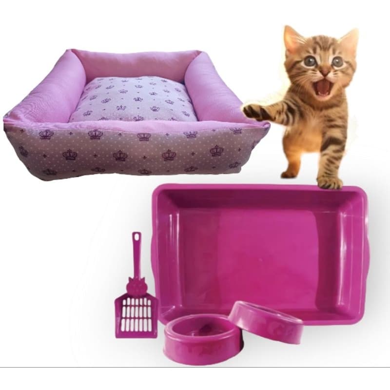 kit meu gato caminha + caixa de areia + comedouro + bebedouro e pá