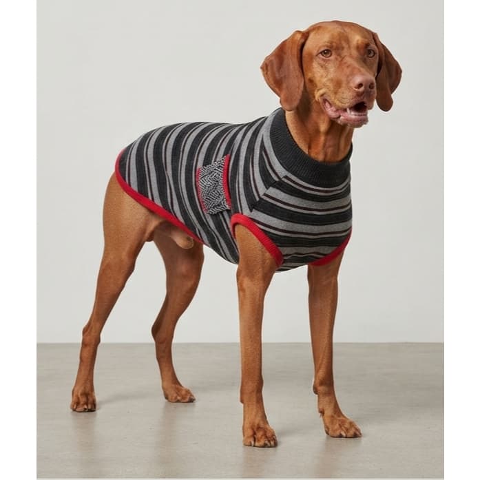 Roupa Pet Porte Grande SORTIDA Roupinha De Cachorro Tricot Inverno Quentinha Lã