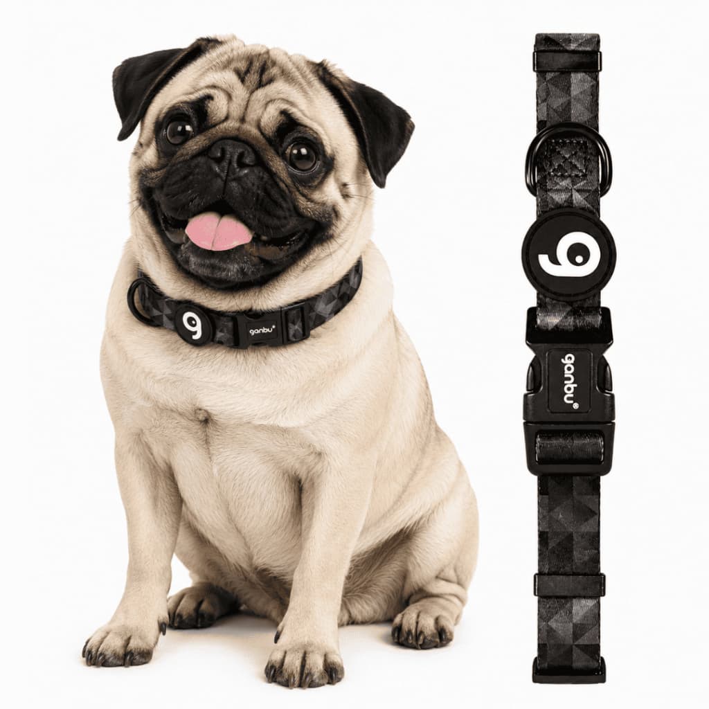 Coleira para Cachorro Ajustável Resistente para Pug Bulldog Francês Tamanho M