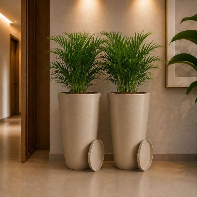 Kit 2 Vasos para Plantas Cone Bojo Polido Nº 2 Polietileno Resistente com Prato Coletor Impermeável