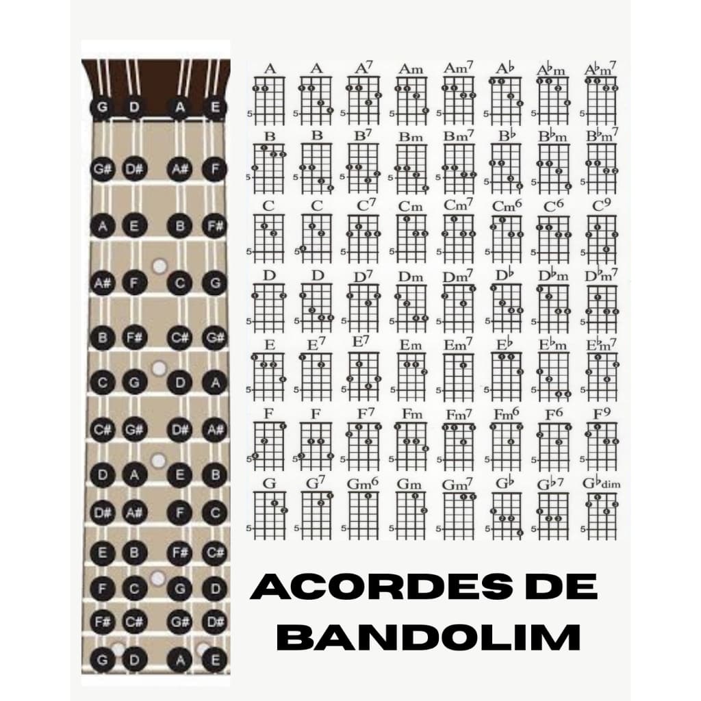 Poster de Estudo Musical Acordes de Bandolim Facilita o Aprendizado