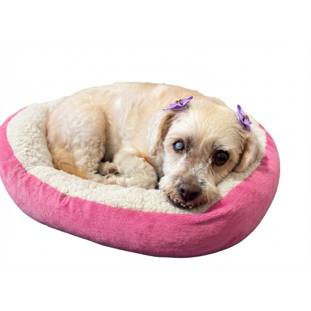 Caminha Redonda Pet Sherpa para Cães e Gatos