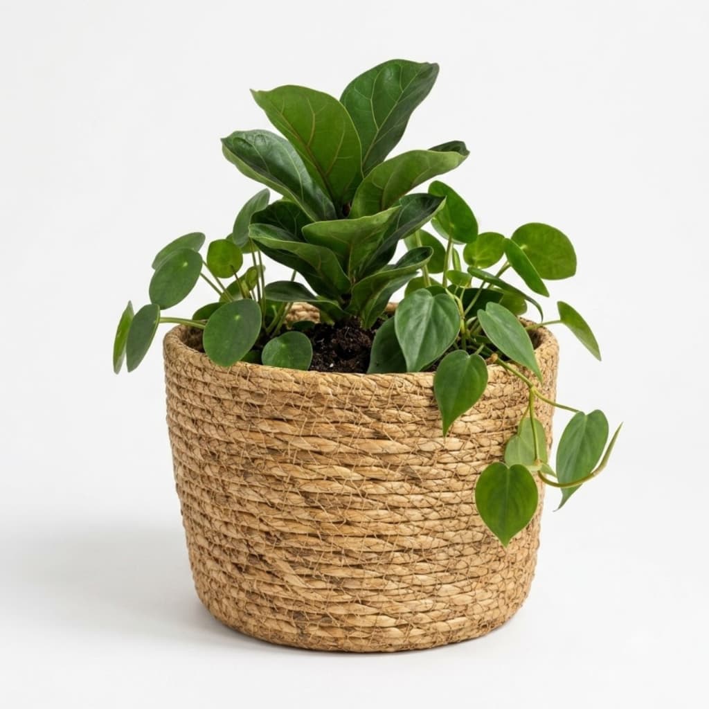 Cesto Cachepot Organizador Com Forro Fibra Natural Tam M Casa Sala Plantas Vaso
