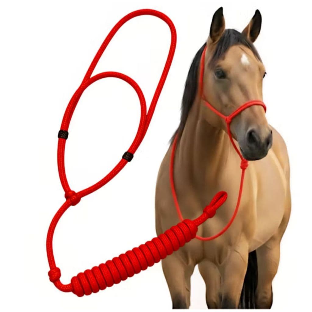 Cabresto de Corda Apresentação Luxo Alta Qualidade Reforçado Para Guiar Cavalo Envio Imediato Menor Preço