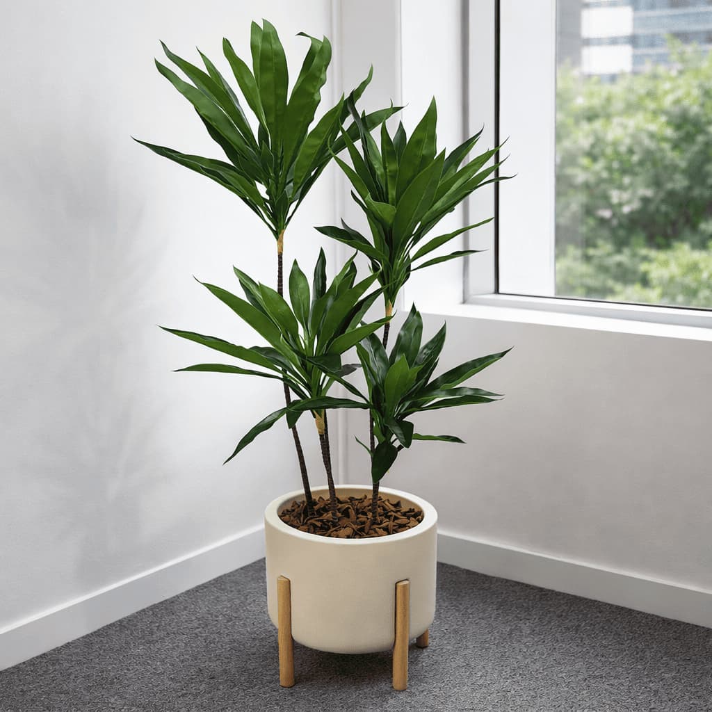 DV Arranjo Dracena 1,40m em Vaso Cilíndrico Escandinavo e Planta Artificial decoração Luxo